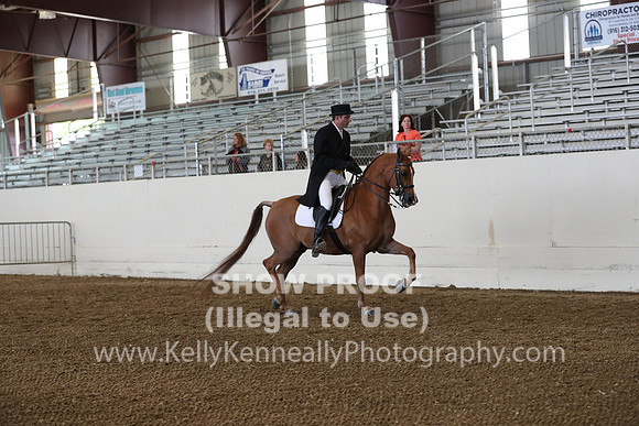 AHANC19_ThursPM_0707