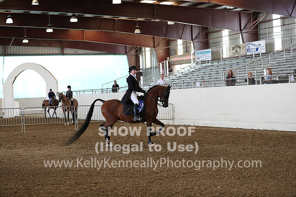 AHANC19_ThursPM_0710