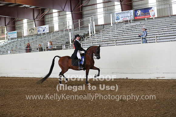 AHANC19_ThursPM_0711