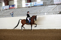 AHANC19_ThursPM_0713