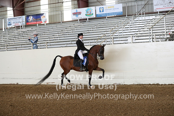 AHANC19_ThursPM_0713