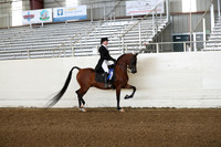 AHANC19_ThursPM_0714