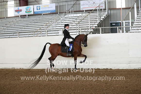 AHANC19_ThursPM_0714