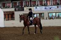 Class 27 Arabian Hunter Pleasure Walk Trot ATR
