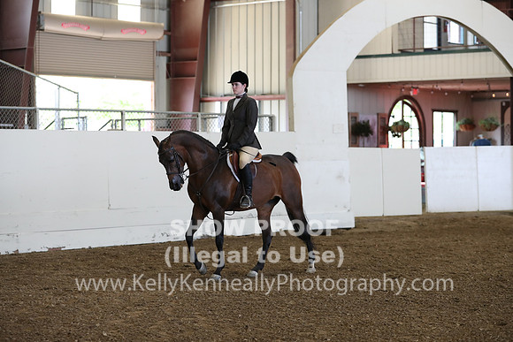 AHANC19_ThursPM_0721