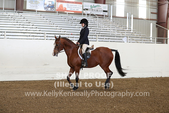 AHANC19_ThursPM_0726