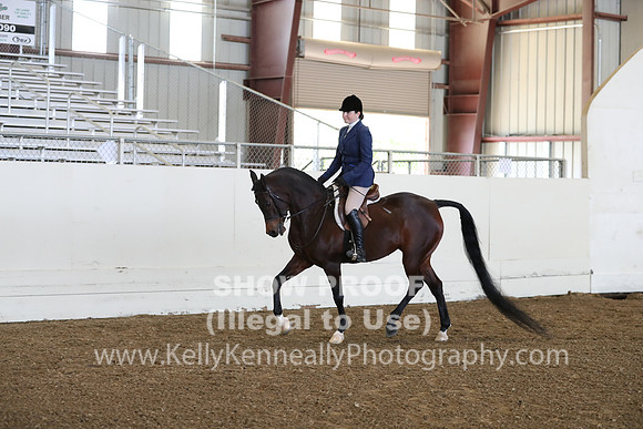 AHANC19_ThursPM_0727