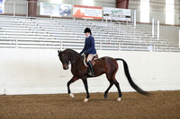 AHANC19_ThursPM_0729
