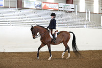 AHANC19_ThursPM_0732