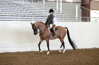 AHANC19_ThursPM_0735
