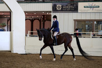 AHANC19_ThursPM_0736