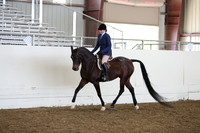 AHANC19_ThursPM_0737