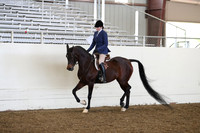 AHANC19_ThursPM_0738