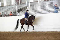 AHANC19_ThursPM_0740