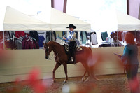 AHANC19_ThursPM_0755