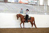 AHANC19_ThursPM_0764