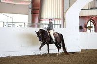 AHANC19_ThursPM_0766