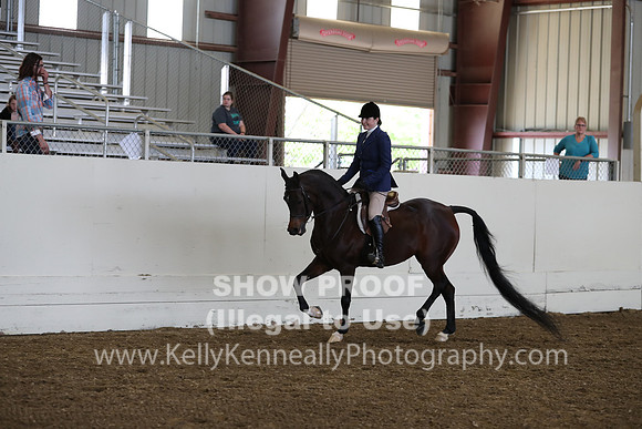 AHANC19_ThursPM_0812
