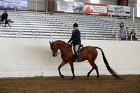 AHANC19_ThursPM_0816
