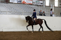 AHANC19_ThursPM_0814