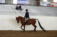 AHANC19_ThursPM_0817