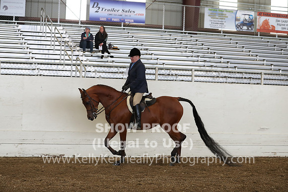 AHANC19_ThursPM_0817