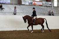 AHANC19_ThursPM_0819