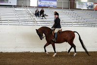 AHANC19_ThursPM_0820
