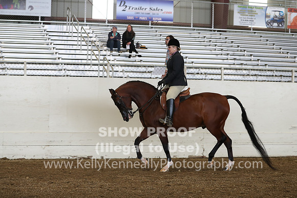 AHANC19_ThursPM_0820