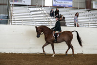 AHANC19_ThursPM_0827