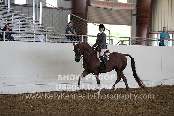 AHANC19_ThursPM_0828