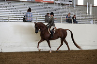 AHANC19_ThursPM_0830