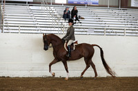 AHANC19_ThursPM_0831
