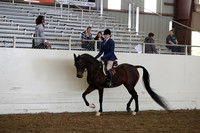 AHANC19_ThursPM_0833