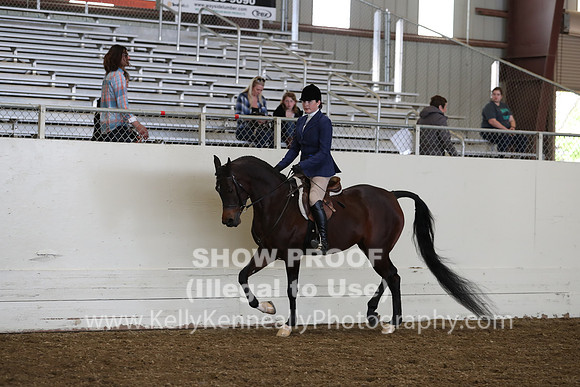 AHANC19_ThursPM_0833