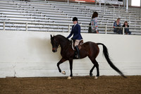 AHANC19_ThursPM_0834