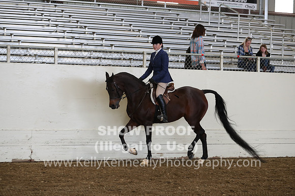 AHANC19_ThursPM_0834