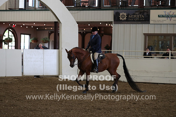 AHANC19_ThursPM_0836