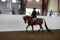 AHANC19_ThursPM_0837