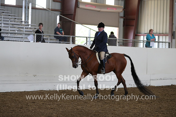 AHANC19_ThursPM_0837