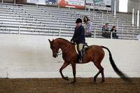 AHANC19_ThursPM_0839