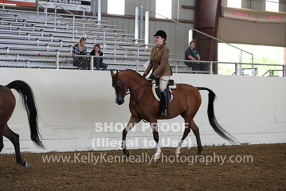 AHANC19_ThursPM_0843
