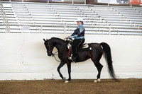 AHANC19_ThursPM_0902