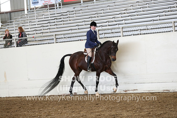 AHANC19_ThursPM_0852