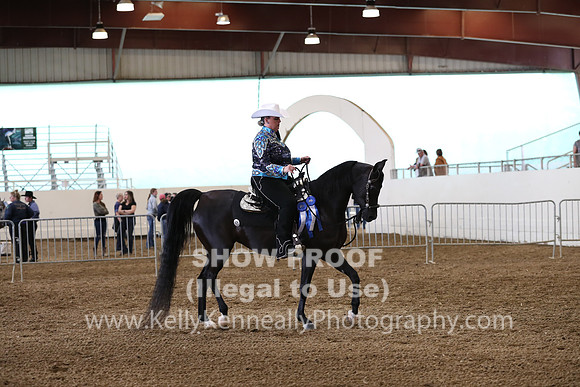 AHANC19_ThursPM_0903