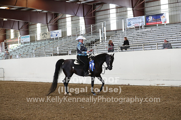 AHANC19_ThursPM_0905