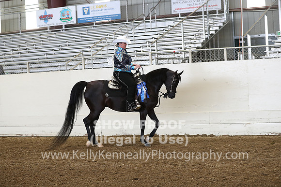 AHANC19_ThursPM_0907
