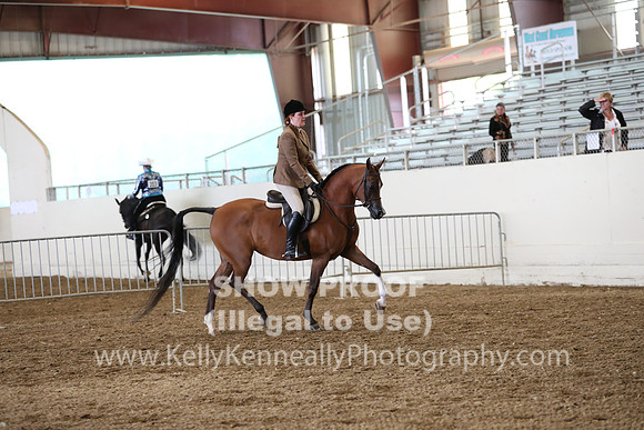 AHANC19_ThursPM_0853