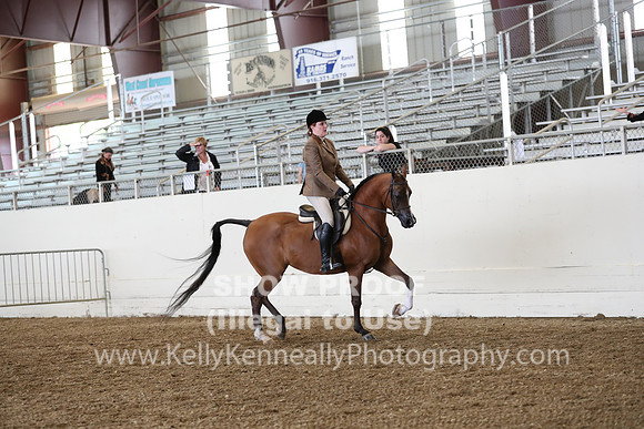 AHANC19_ThursPM_0855
