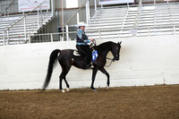 AHANC19_ThursPM_0908